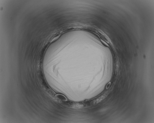 X0000081420257200702092141