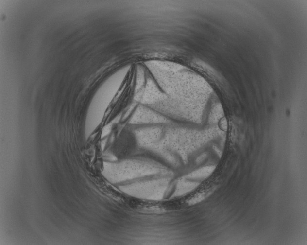 X0000081420258200702092141