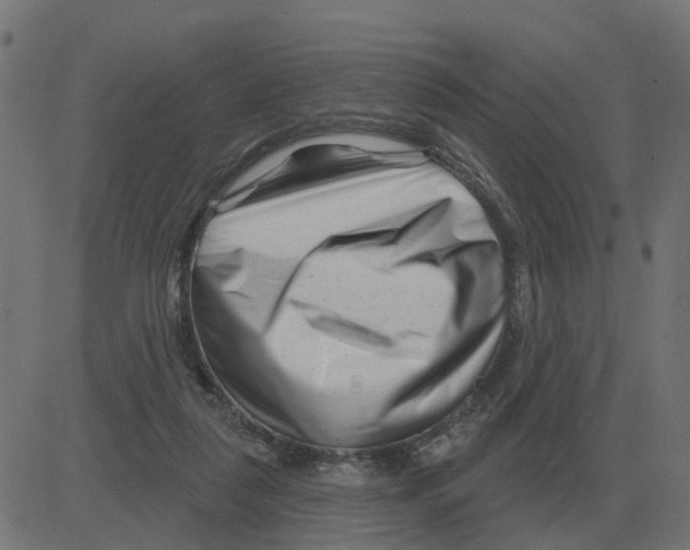 X0000081420259200702092141