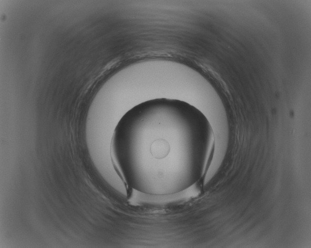 X0000081420260200702092141