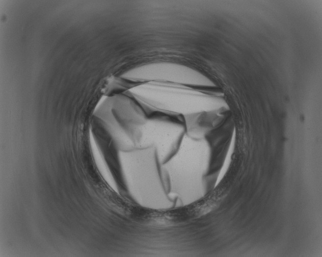 X0000081420263200702092141