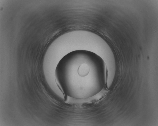 X0000081420264200702092141