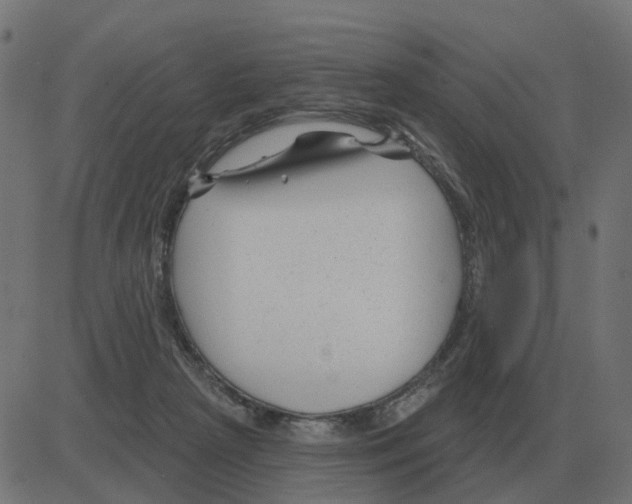 X0000081420265200702092141