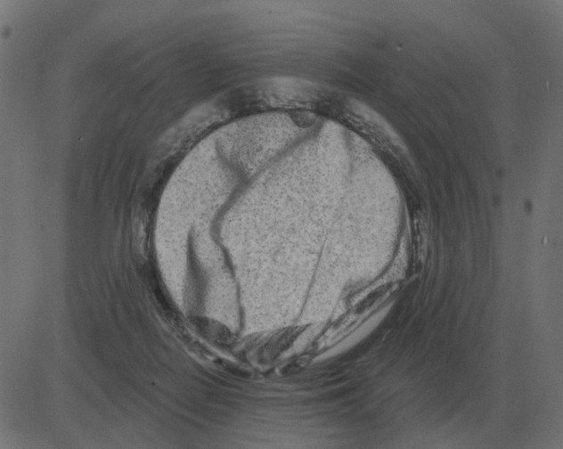 X0000081420266200702092141