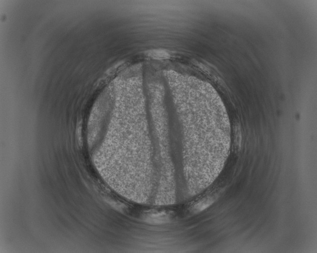 X0000081420267200702092141