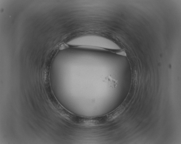 X0000081420268200702092141