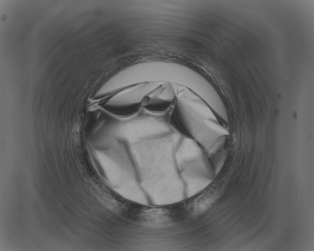 X0000081420269200702092141