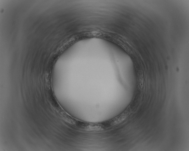 X0000081420270200702092141