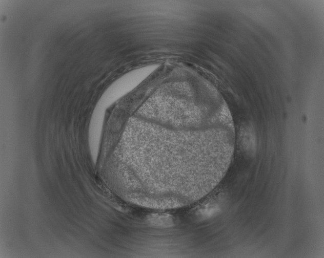 X0000081420271200702092141