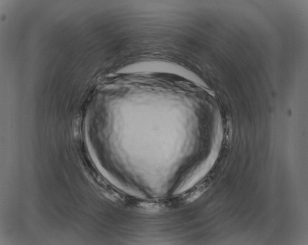 X0000081420272200702092141