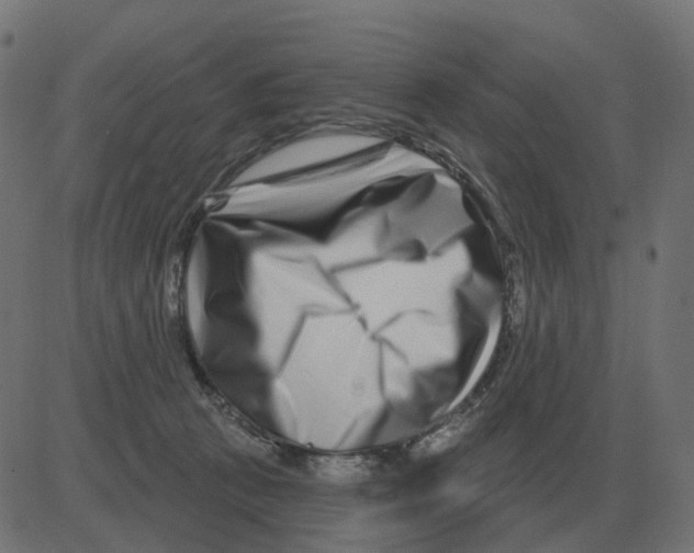 X0000081420273200702092141