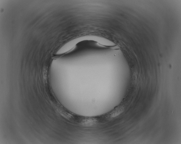 X0000081420274200702092141