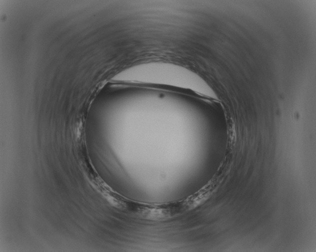 X0000081420276200702092141