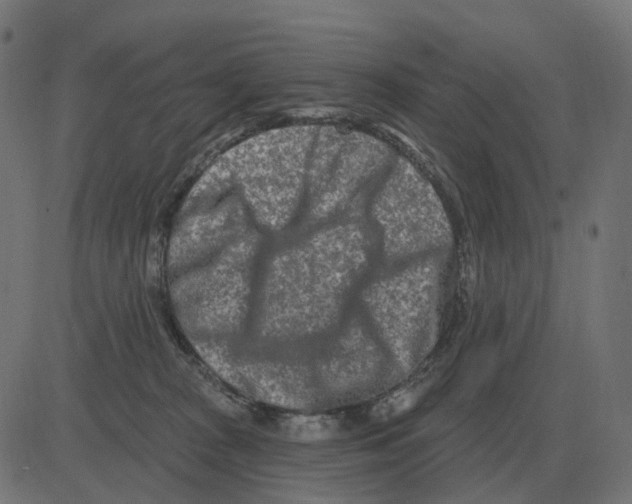 X0000081420277200702092141