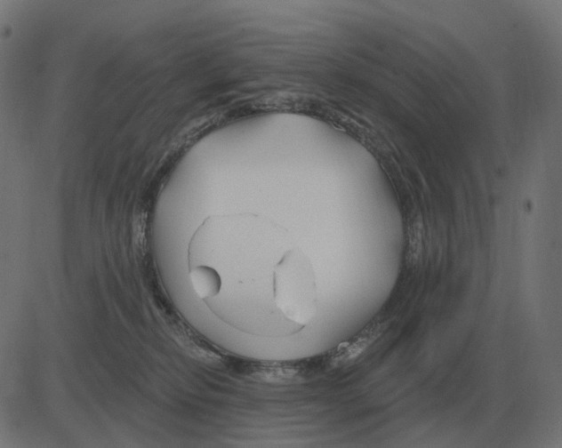 X0000081420278200702092141