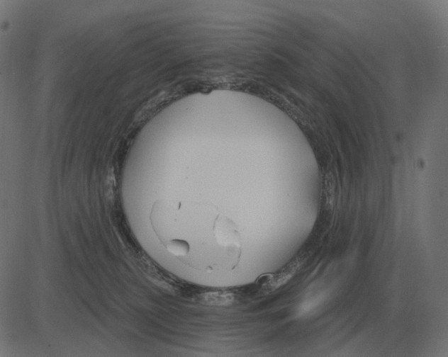 X0000081420279200702092141