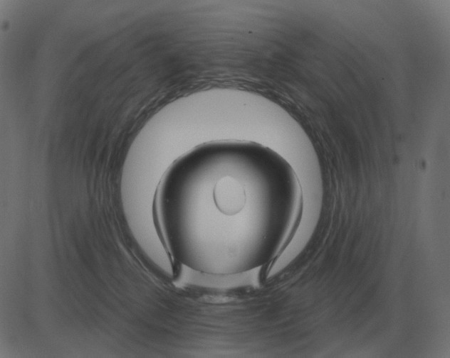 X0000081420280200702092141