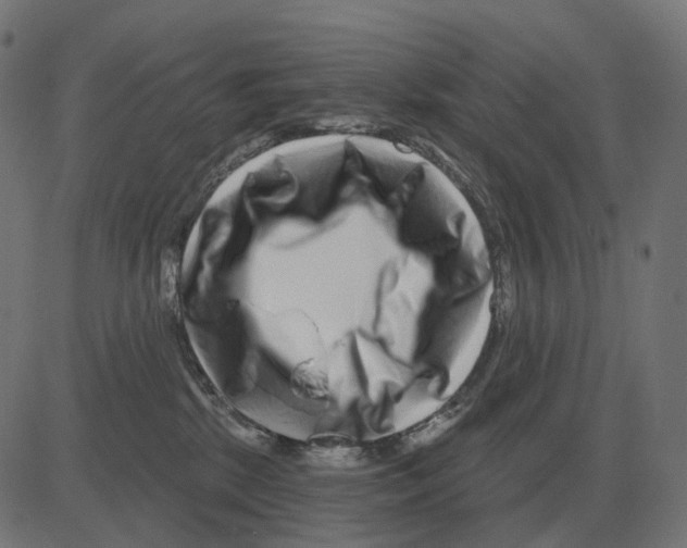 X0000081420281200702092141