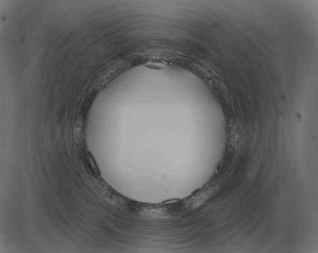 X0000081420283200702092141