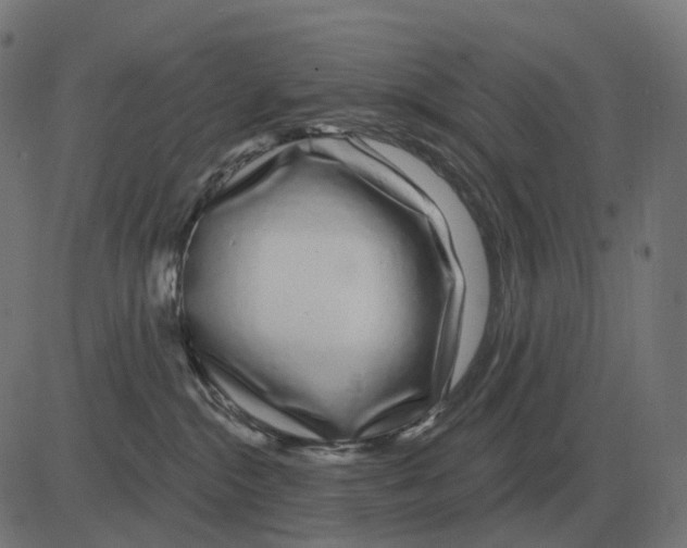 X0000081420284200702092141