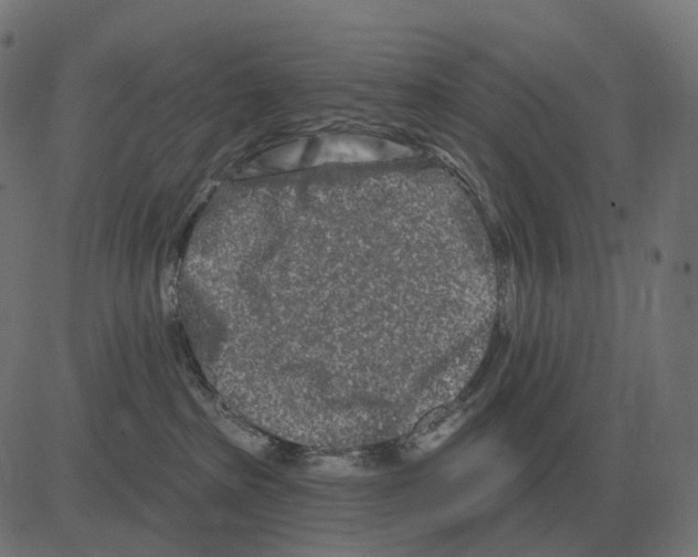 X0000081420285200702092141