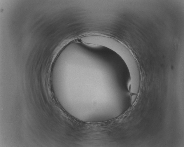 X0000081420289200702092141