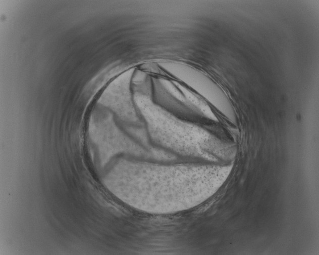 X0000081420290200702092141