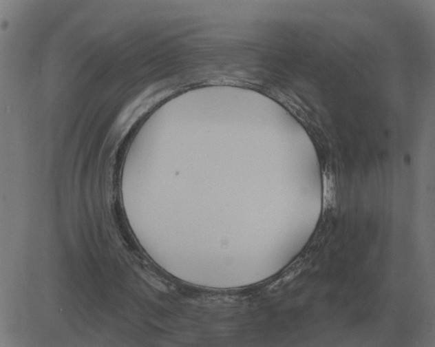 X0000081420291200702092141