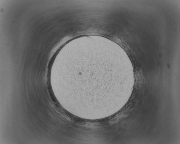 X0000081420292200702092141