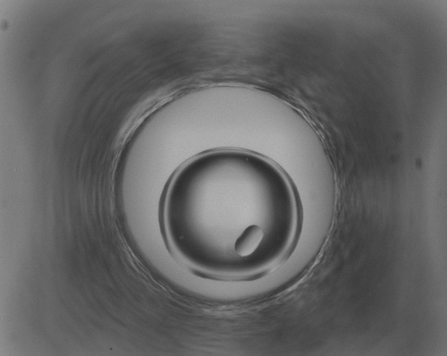 X0000081420293200702092141