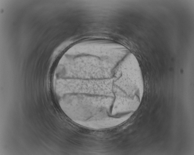 X0000081420294200702092141