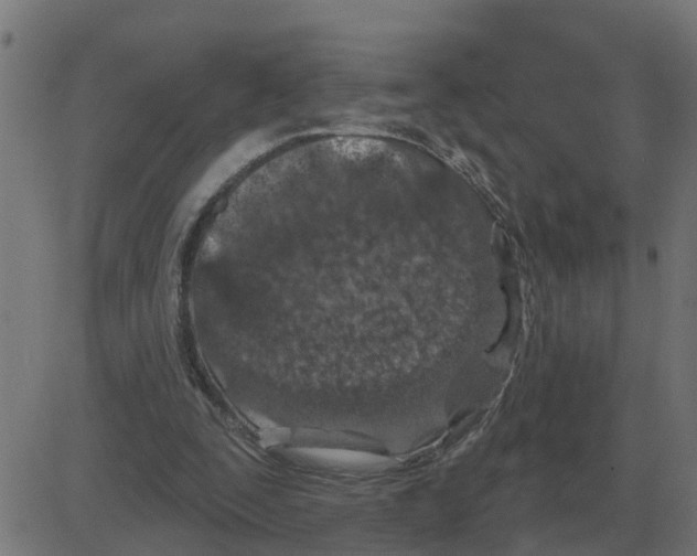 X0000081420295200702092140