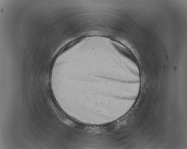 X0000081420297200702092140