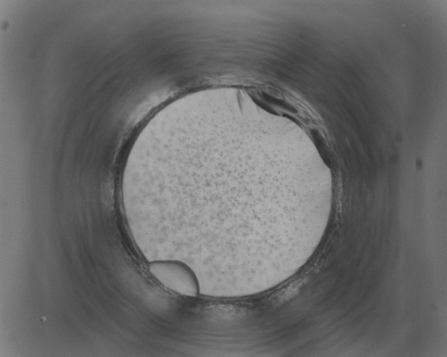 X0000081420298200702092140