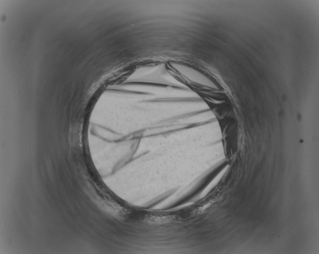 X0000081420299200702092140