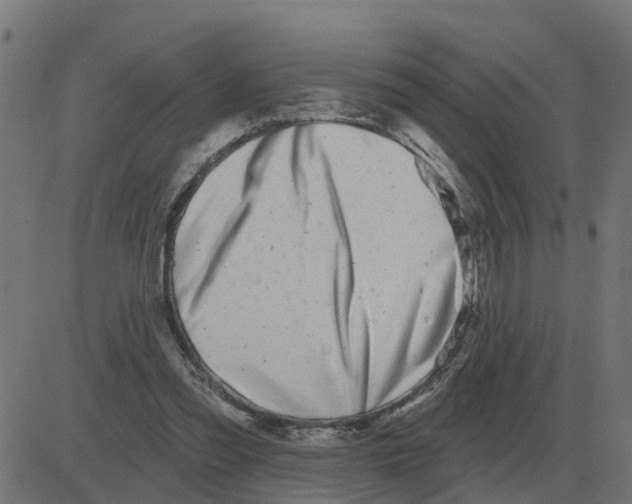 X0000081420301200702092140