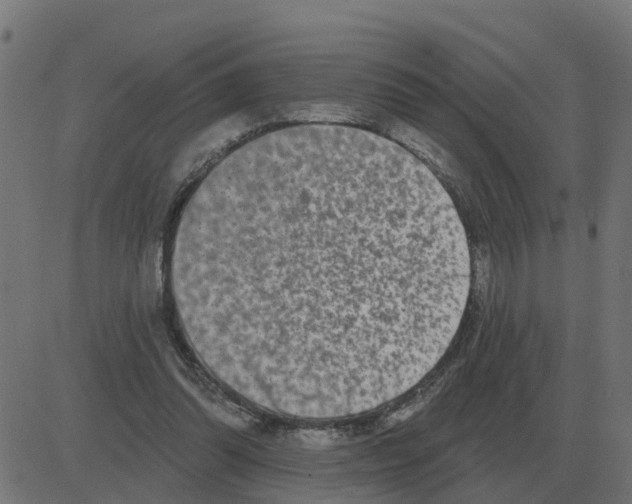 X0000081420302200702092140