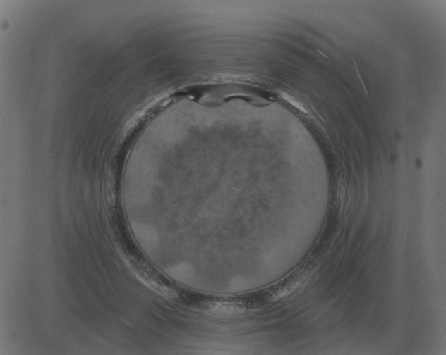 X0000081420303200702092140