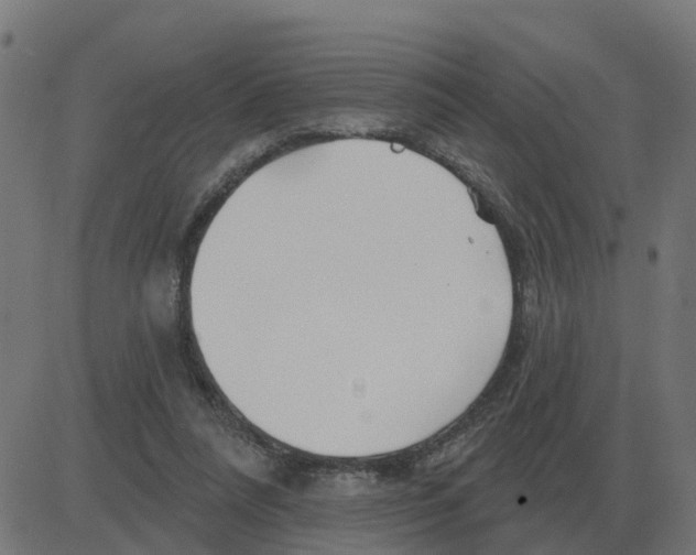 X0000081420304200702092140