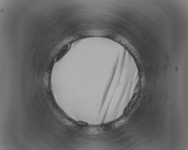 X0000081420305200702092140