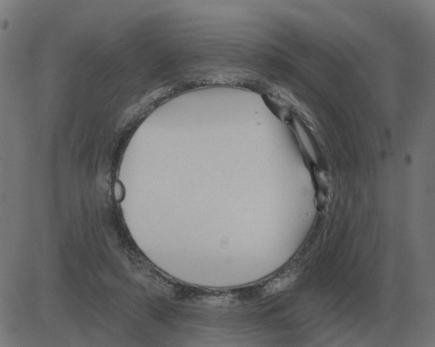 X0000081420306200702092140