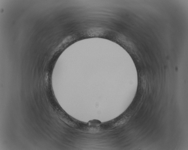 X0000081420308200702092140