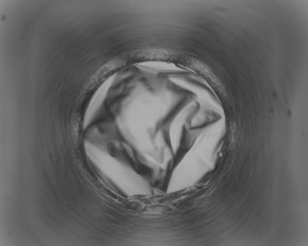 X0000081420309200702092140