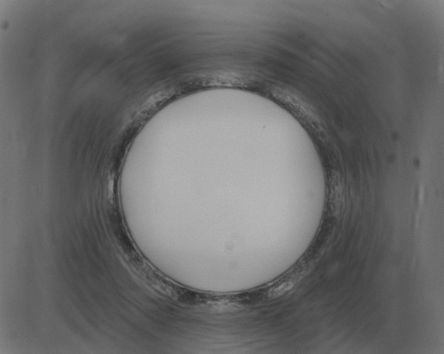 X0000081420310200702092140