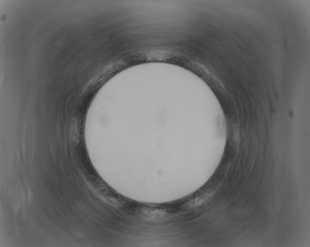 X0000081420311200702092140