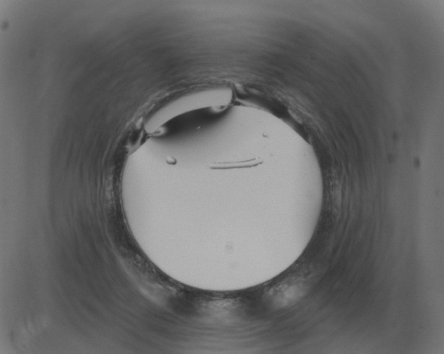 X0000081420312200702092140