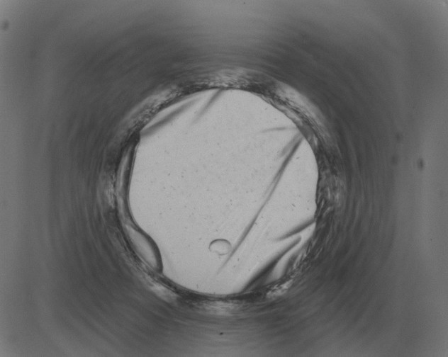 X0000081420313200702092140