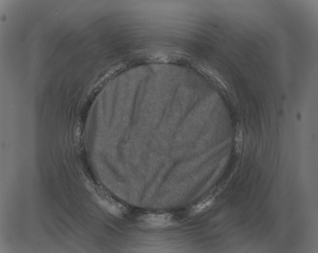 X0000081420314200702092140