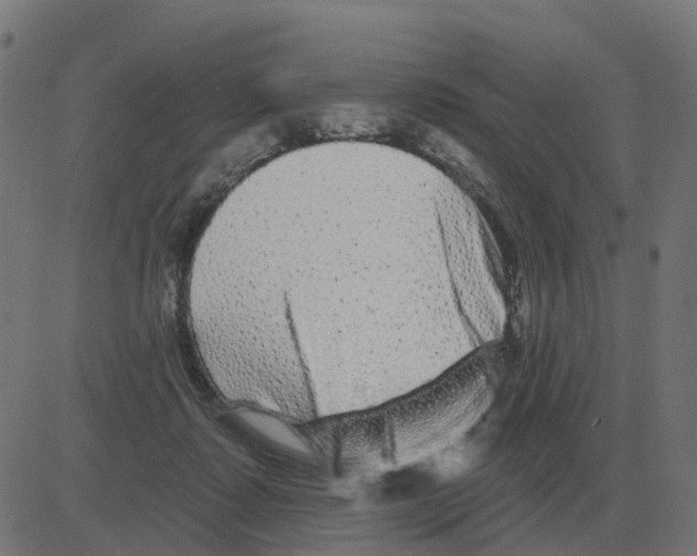 X0000081420315200702092140