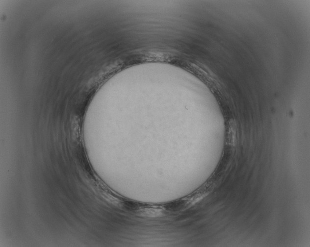 X0000081420318200702092140